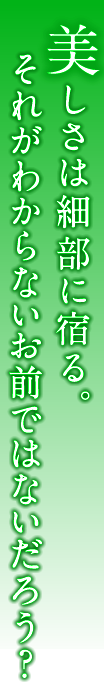 美しさは細部に宿る。それがわからないお前ではないだろう？