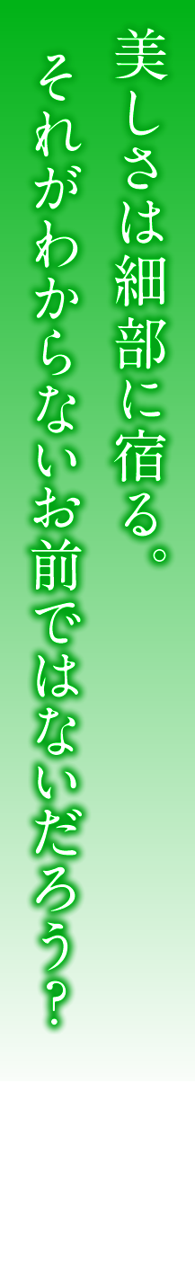 美しさは細部に宿る。それがわからないお前ではないだろう？