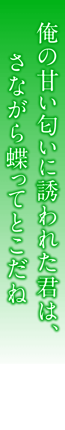 俺の甘い匂いに誘われた君は、さながら蝶ってとこだね