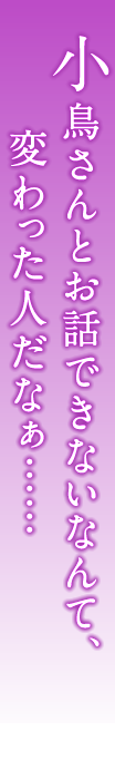 小鳥さんとお話できないなんて、変わった人だなぁ……