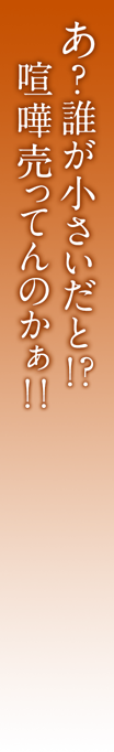 あ？　誰が小さいだと！？喧嘩売ってんのかぁ！！