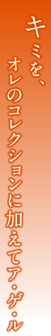 キミを、オレのコレクションに加えてア・ゲ・ル